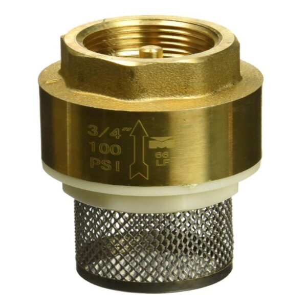 Foot Valve