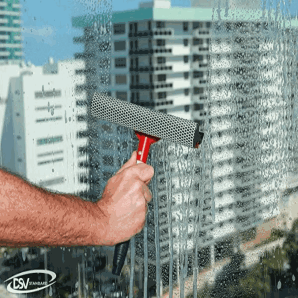 DSV Standard All-Purpose Window Squeegee for Car Windshield