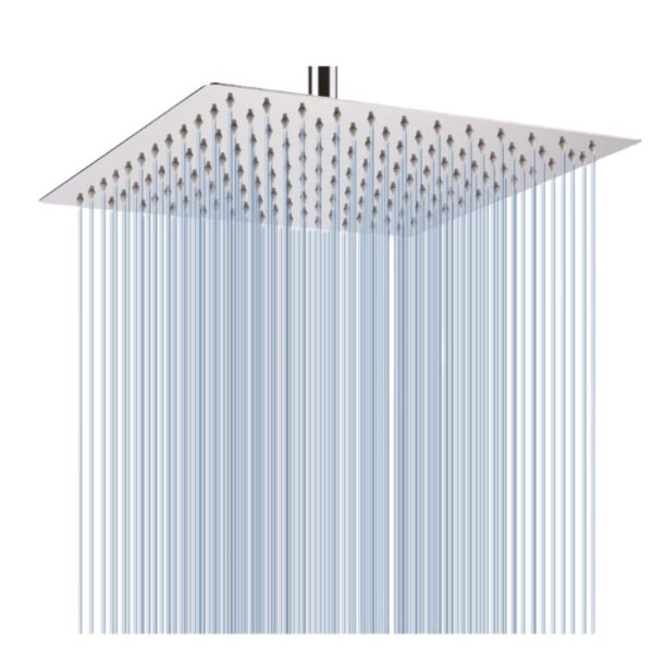 Shower Head With/ Without Hose Pipe